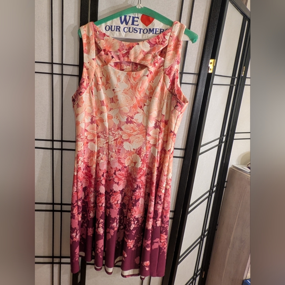 Danny & Nicole Pink and Orange Floral Print Dress